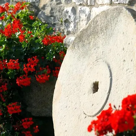 Bioagriturismo Chignoni Apartment *