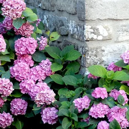 Bioagriturismo Chignoni Apecchio