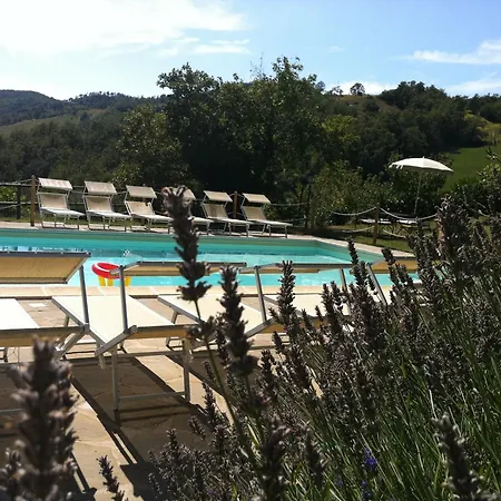Bioagriturismo Chignoni 公寓